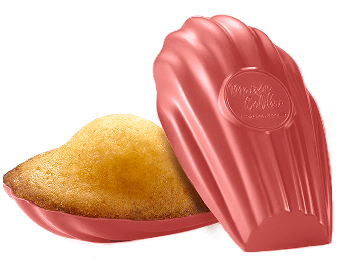 Madeleine nature coque chocolat framboise